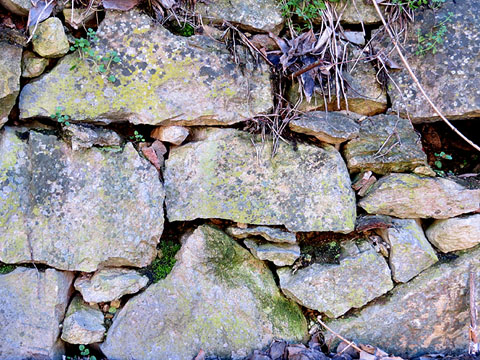 Mur de pedra seca a l'itinerari del Galligants