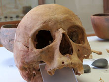 Crani humà. Puig d'en Roca (Girona, Gironès), 4200-3500 aC