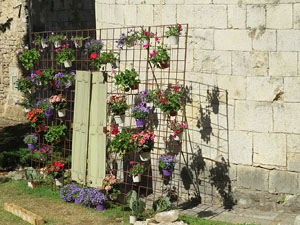 Temps de Flors 2017. Instal·lacions i muntatges florals darrere dels absis de Sant Pere de Galligants