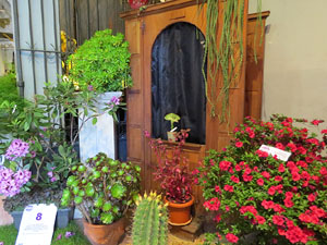 Temps de Flors 2017. Instal·lacions i muntatges florals als diversos espais de l'Església dels Dolors