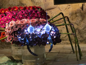 Temps de Flors 2017. Muntatges florals als diversos espais de la Casa Lleó Avinay, al Call jueu