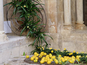 Temps de Flors 2017. Instal·lacions i decoracions florals al claustre romànic del monestir de Sant Daniel