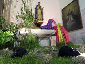 Temps de Flors 2017. Instal·lacions i muntatges florals a l'Església de Sant Martí - Seminari