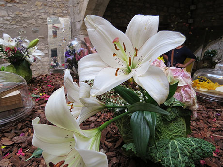 Temps de Flors 2018. Instal·lacions i muntatges florals al pati de la Casa Boadas Formiga
