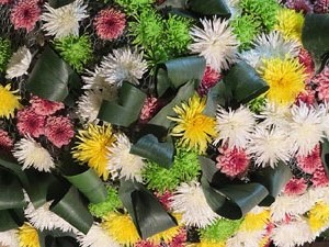 Temps de Flors 2018. Muntatges florals als diversos espais dels Soterranis de la Catedral