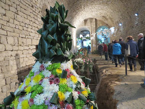 Temps de Flors 2018. Muntatges florals als diversos espais dels Soterranis de la Catedral