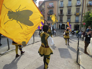 Fires de Sant Narcís 2018. Toc de rams. Canvi dels rams de flors de les gegantes de Girona