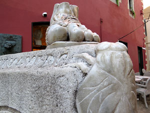 Girona i les mosques. Presència d'un animal símbol de la ciutat pels carrers de Girona