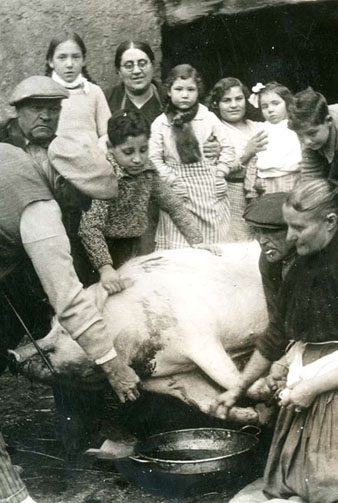 Matança del porc al mas Sant Quintí de Ripoll. 1935