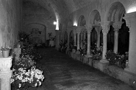 Exposició de flors de 1960, al claustre de Sant Pere de Galligants. Fotografia de Narcís Sans. CRDI - Ajuntament de Girona