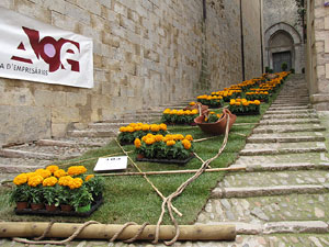 Girona Temps de Flors 2014. L'església de Sant Feliu