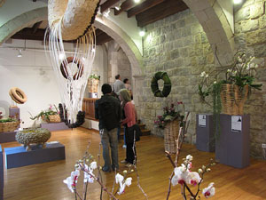 Girona Temps de Flors 2014. Pujada de Sant Domènec, la Casa Agullana, el Palau de Caramany i Cromats Ensesa