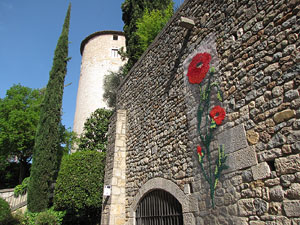 Girona Temps de Flors 2014. Casa Pastors i voltants de la Catedral