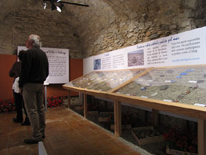 Girona Temps de Flors 2014. El Museu d'Història