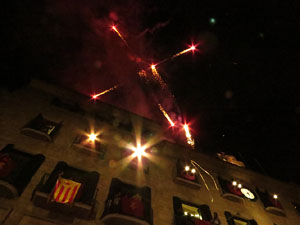Fires de Girona 2014. El pregó