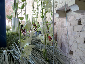 Temps de Flors 2015. Decoració floral del claustre de la Catedral