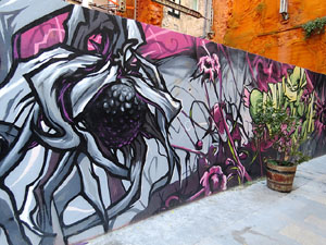 Art mural als carrers de Giron 