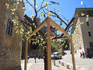 Temps de Flors 2016. Sant Domènec i Universitat de Girona