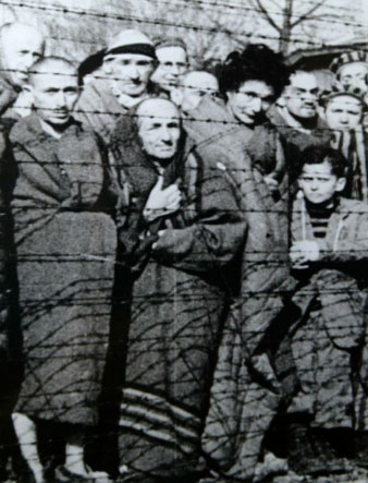 Presoners a Auschwitz-Birkenau el gener de 1945