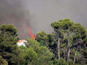 Incendi forestal darrere Les Pedreres