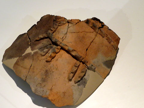 Fragment de tenalla amb representació d'un cèrvol. Ceràmica a mà. Edat del Bronze final, 1000 aC. Genó, Aitona (Segrià)