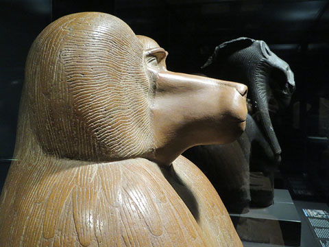 Figura d'un babuí a la gatzoneta. Quarsita vermella. Dinastia XVIII, regnat d'Amenhotep III, Ca. 1390-1352 aC. Detall