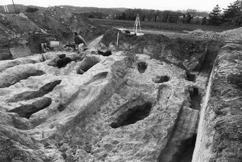 Tombes antropomorfes al cementiri jueu del Bou d'Or