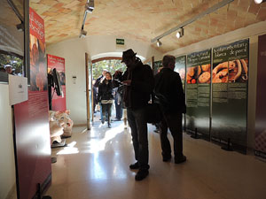 Fira del Porc FIPORC 2015. Exposicions i exhibicions