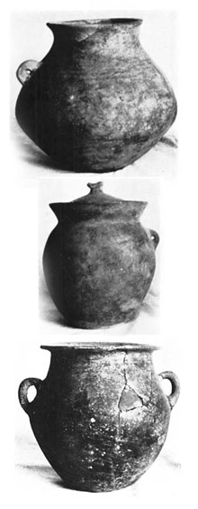 Material ceràmic de la necròpolis hallstàtica de la fàbrica Burés. 800-500aC. Oliva i Riuró, op. cit.