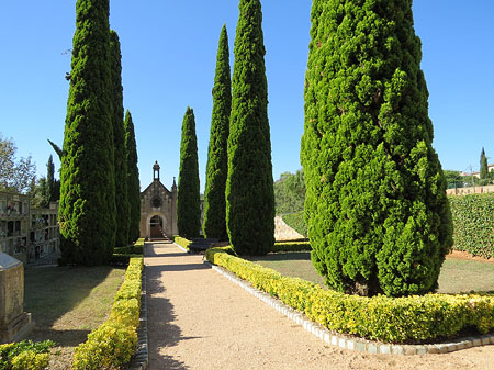 El cementiri de Sant Daniel