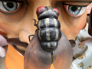 Fires 2016. 35a. Trobada de Gegants de Fires de Sant Narc&iacute;s