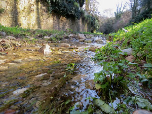 L'itinerari del Galligants. Camí verd que connecta la plaça dels Jurats del Barri Vell amb la font del Bisbe