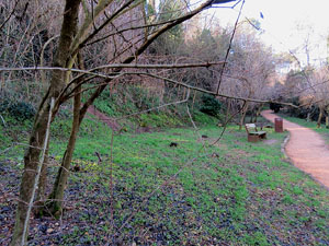 L'itinerari del Galligants. Camí verd que connecta la plaça dels Jurats del Barri Vell amb la font del Bisbe