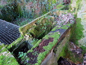 L'itinerari del Galligants. Camí verd que connecta la plaça dels Jurats del Barri Vell amb la font del Bisbe