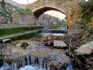 L'itinerari del Galligants. Camí verd que connecta la plaça dels Jurats del Barri Vell amb la font del Bisbe