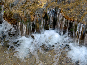 L'itinerari del Galligants. Camí verd que connecta la plaça dels Jurats del Barri Vell amb la font del Bisbe
