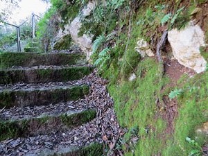 L'itinerari del Galligants. Camí verd que connecta la plaça dels Jurats del Barri Vell amb la font del Bisbe