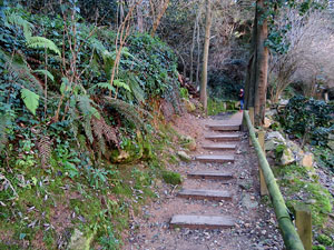 L'itinerari del Galligants. Camí verd que connecta la plaça dels Jurats del Barri Vell amb la font del Bisbe