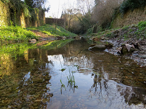 El Galligants a l'inici de l'itinerari, entre els Jardins del doctor Figueres i el passeig Arqueològic