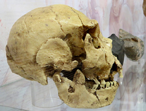 Museu d'Arqueologia de Catalunya - Girona, Sant Pere de Galligants