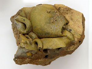 Museu d'Arqueologia de Catalunya - Girona, Sant Pere de Galligants