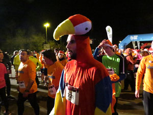 Nadal 2016. La 12a Cursa de Sant Silvestre 2016 i 7a Mini Sant Silvestre