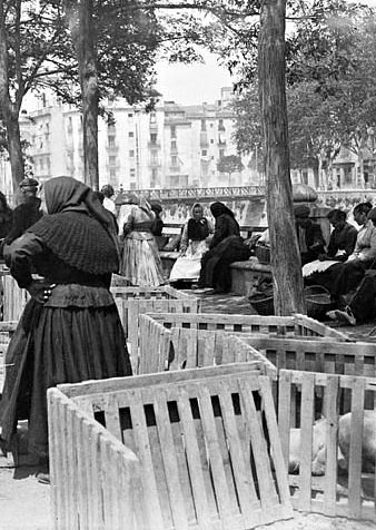 La Fira del bestiar. Sobserven alguns pagesos amb el bestiar al passeig General Mendoza. Al fons es pot observar també el pont del Carme. 1920-1925