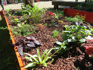 Temps de Flors 2016. Jardins i pla&ccedil;a de la Torre de Carlemany