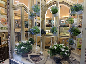 Temps de Flors 2016. Altres espais