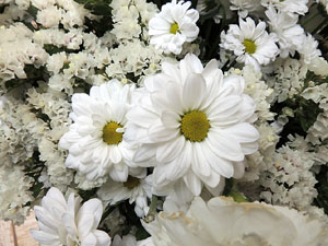 Temps de Flors 2016. Altres espais