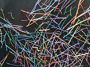 Temps de Flors 2016. Altres espais