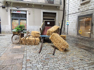 Temps de Flors 2016. Altres espais