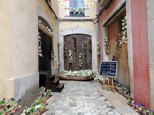 Temps de Flors 2016. Altres espais