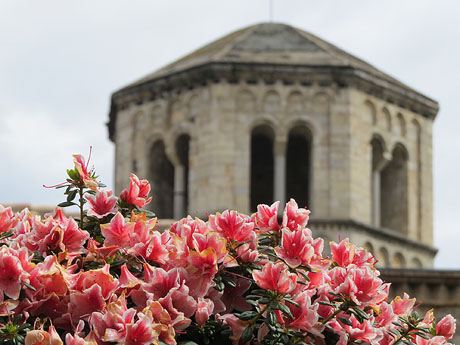 Temps de Flors 2016. Altres espais: Sant Pere de Galligants
